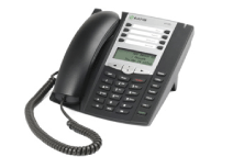 VoIP telephone